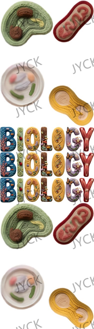 15733